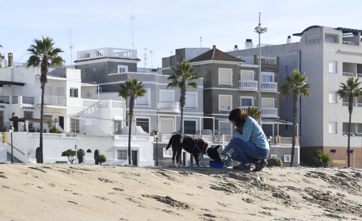 Clarence-bebe-playa-2-scaled.jpg