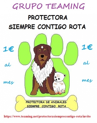 PROTECTORA SIEMPRE CONTIGO (ROTA)