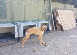 Caolin11.thumbnail.jpg