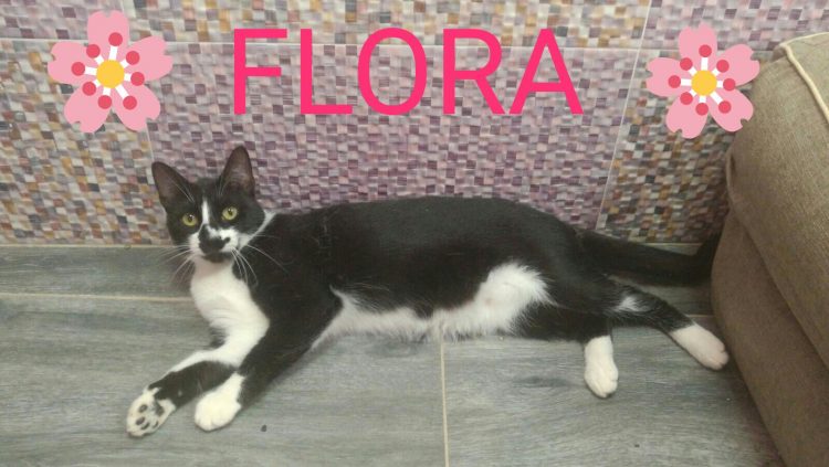 Flora