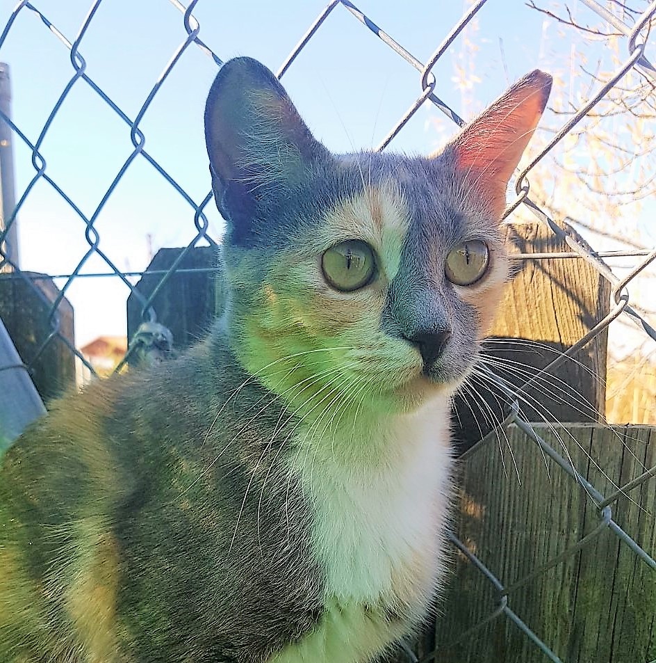 LOla-2-1.jpg
