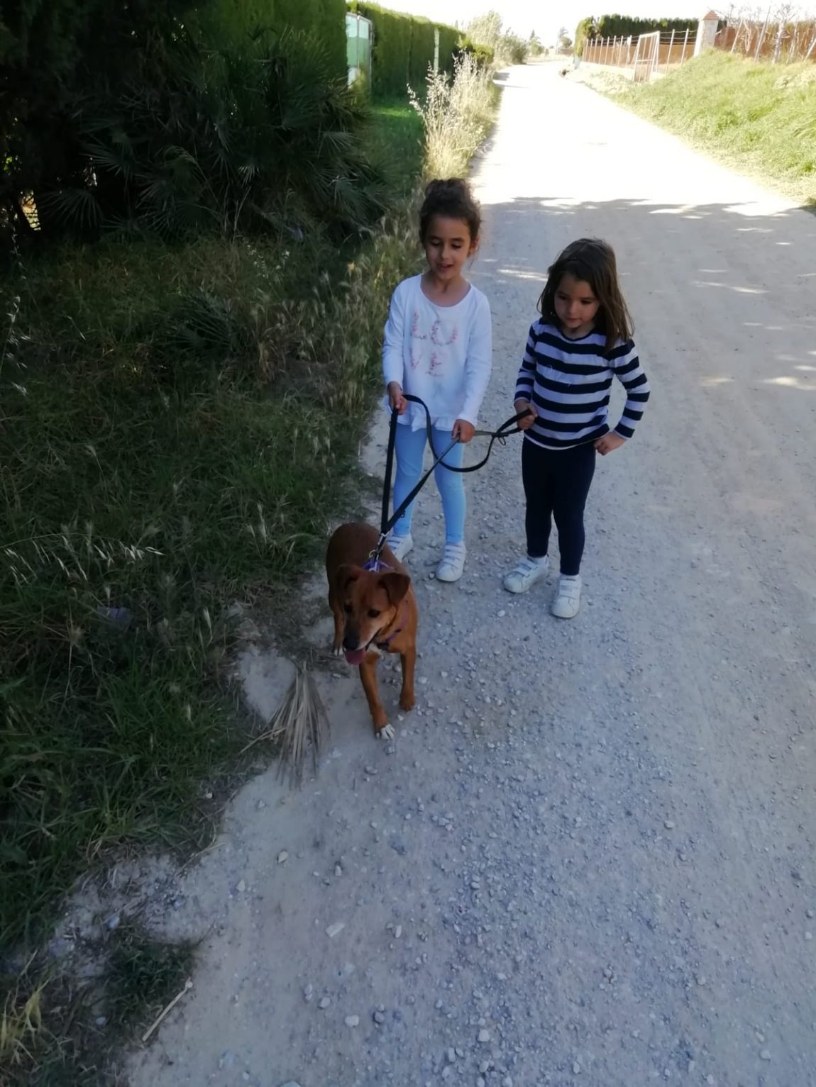 Alika-niñas.jpg