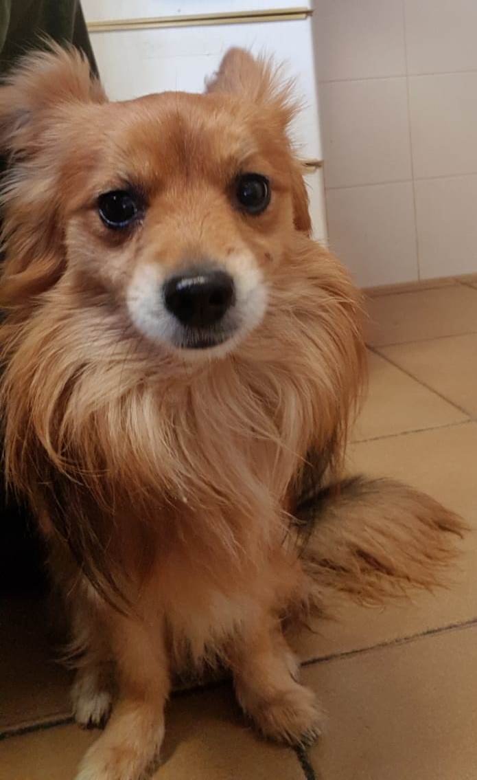 Truco3.jpg