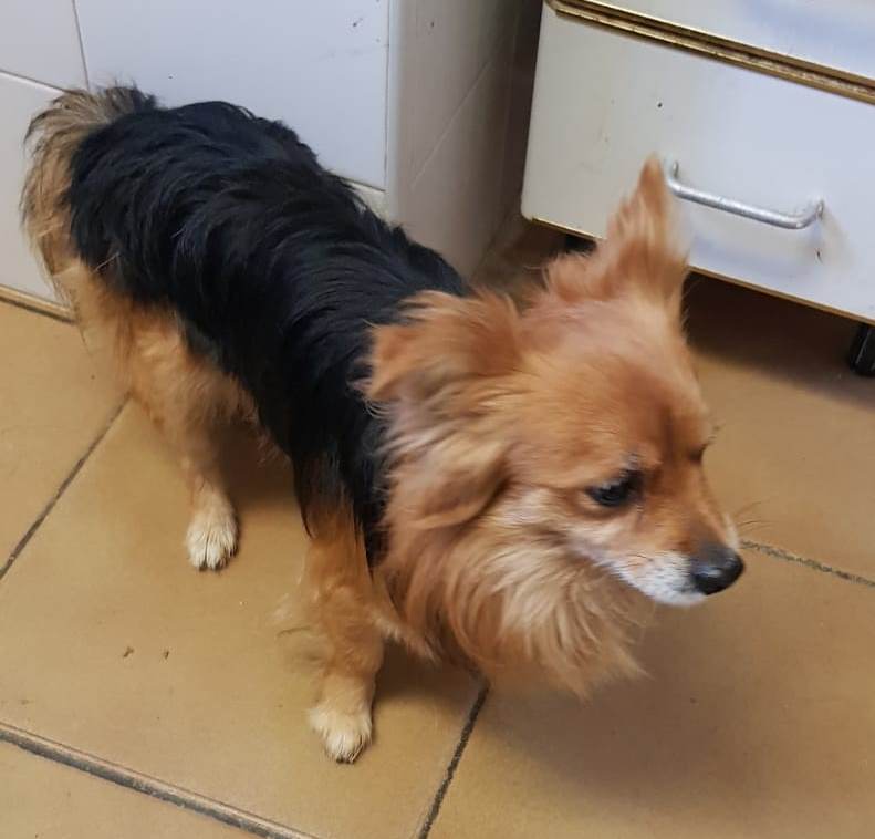 Truco4.jpg