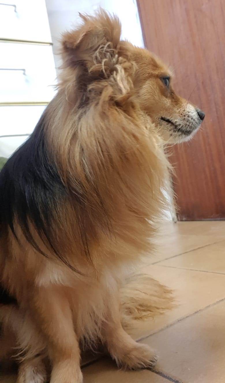 Truco5.jpg