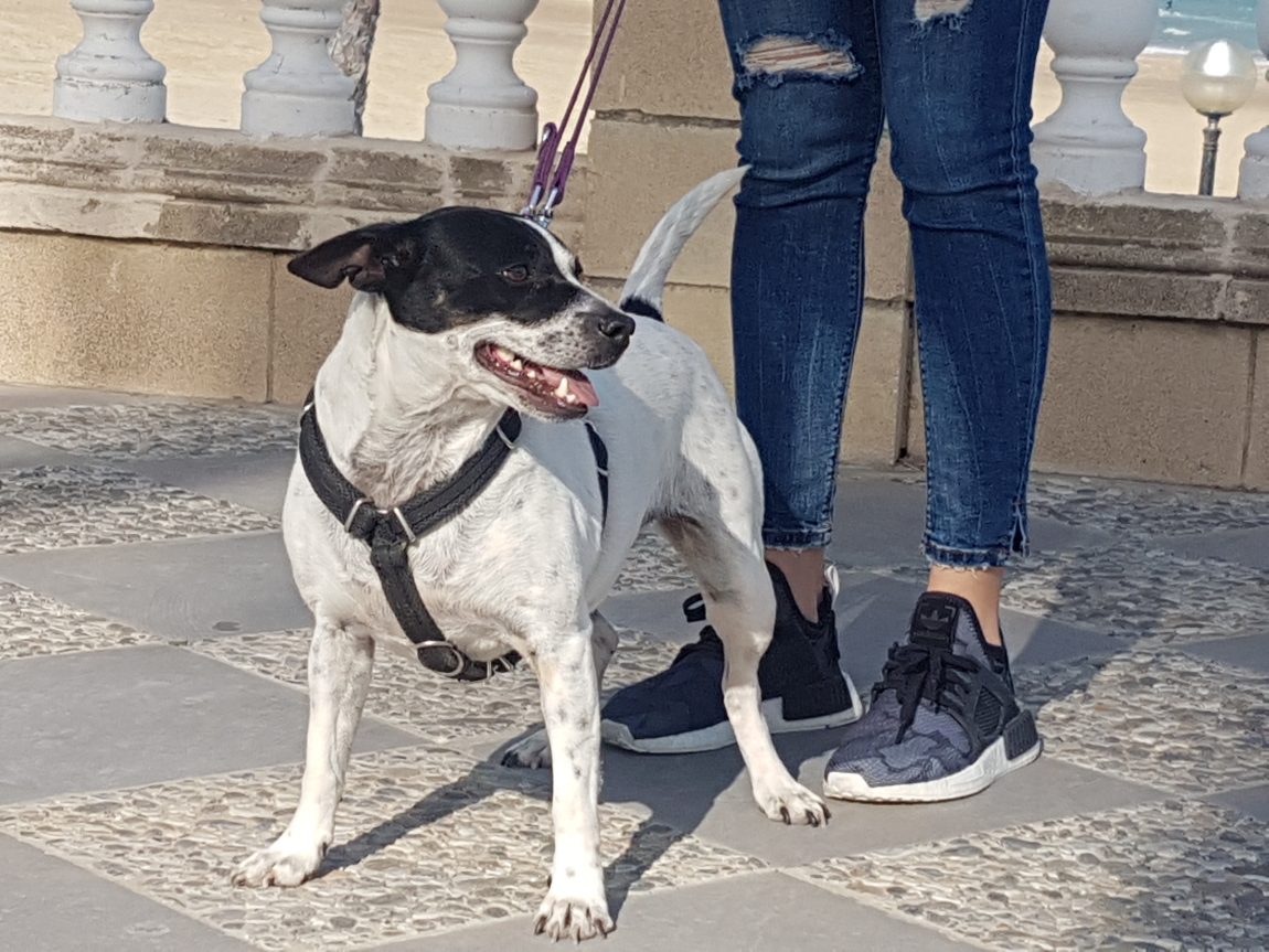 Milla5.jpg