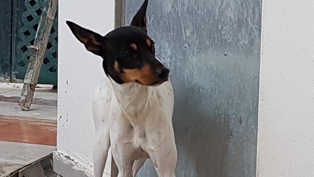 Suerte3.jpg