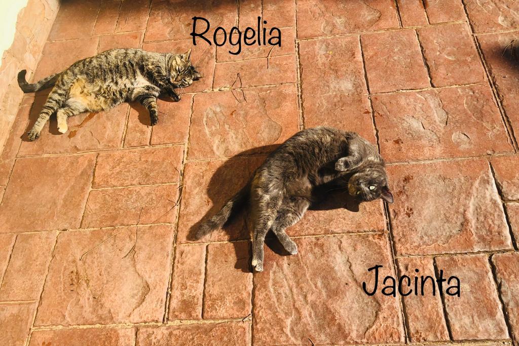 ROGELIA-Y-JACINTA.jpg