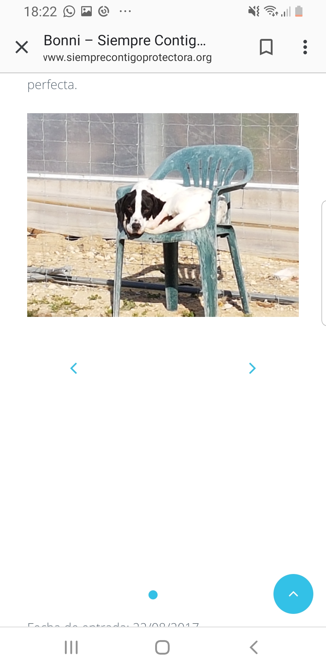 Screenshot_20190330-182215_Chrome.jpg
