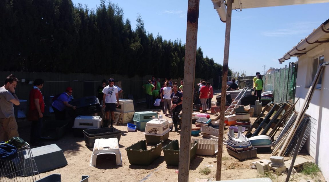 IMG-20190414-WA0040.jpg