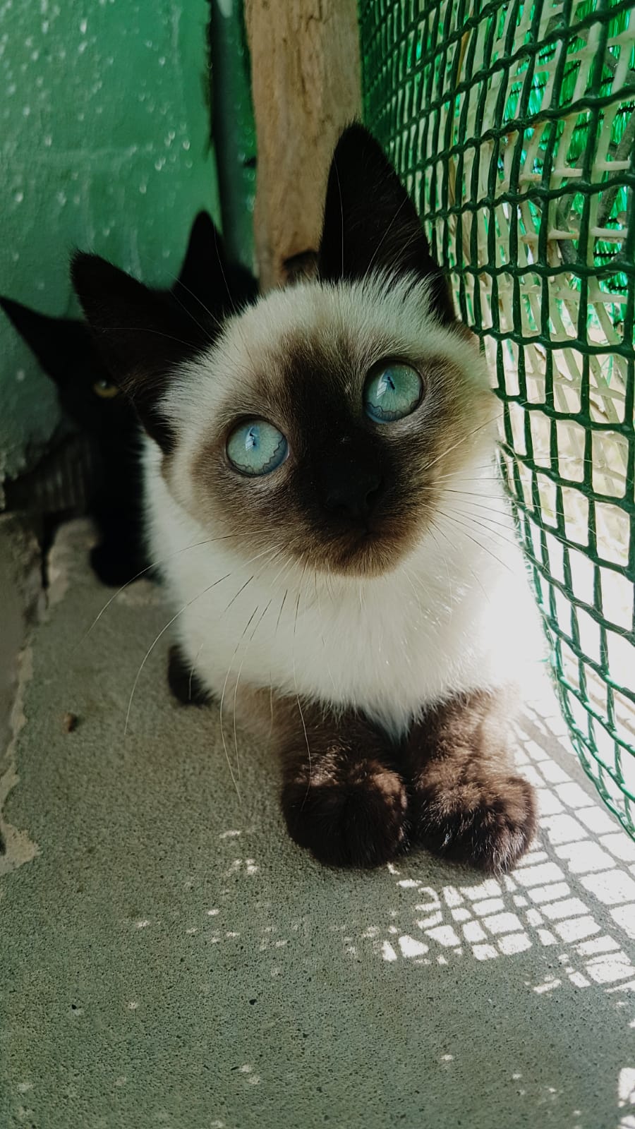 Mahina-1.jpg