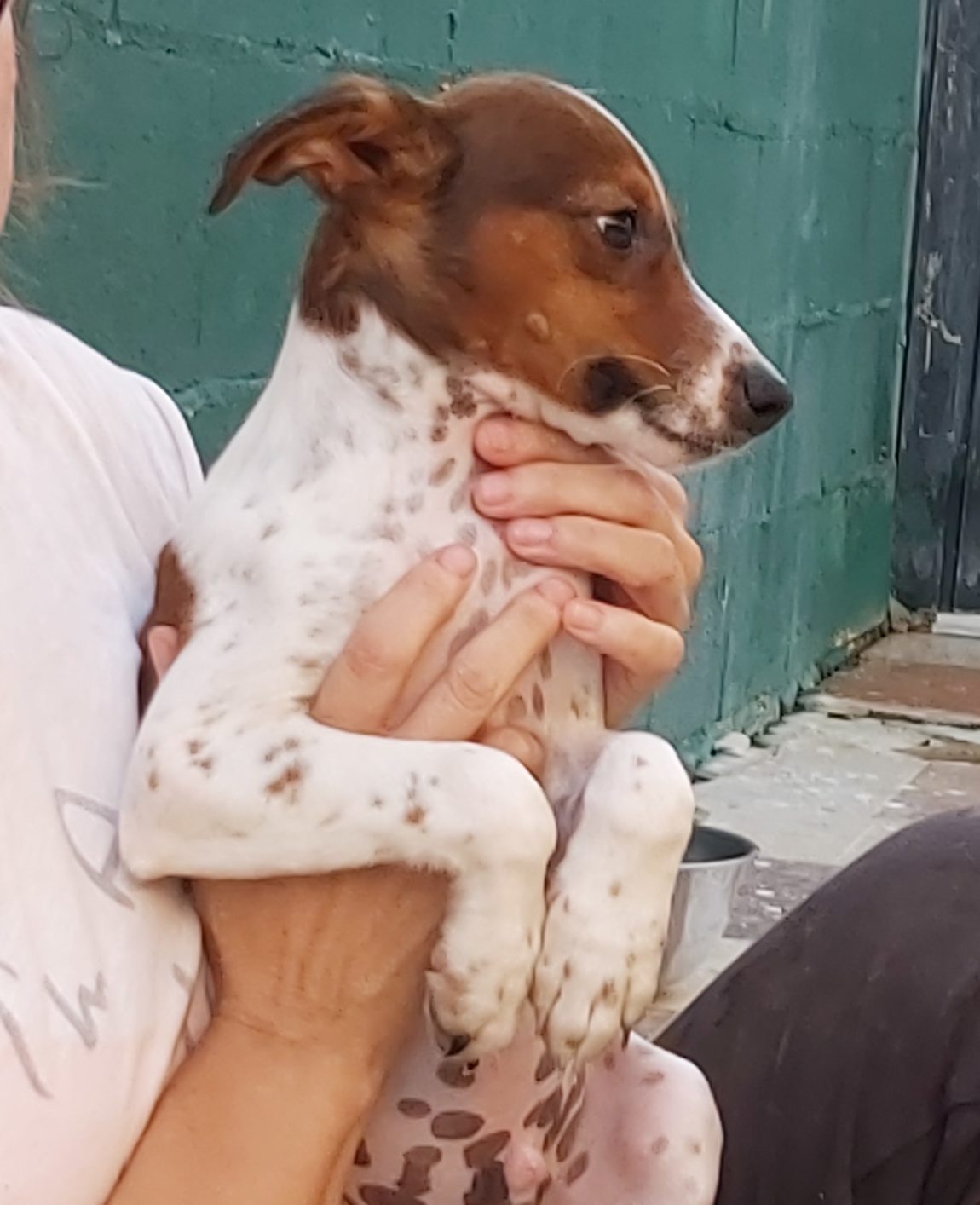 Charlie13.jpg