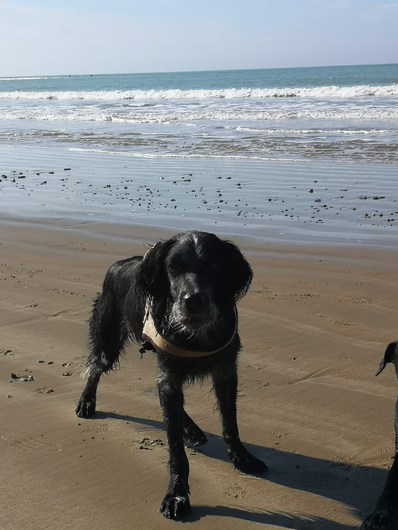 Nano-playa-2.jpg