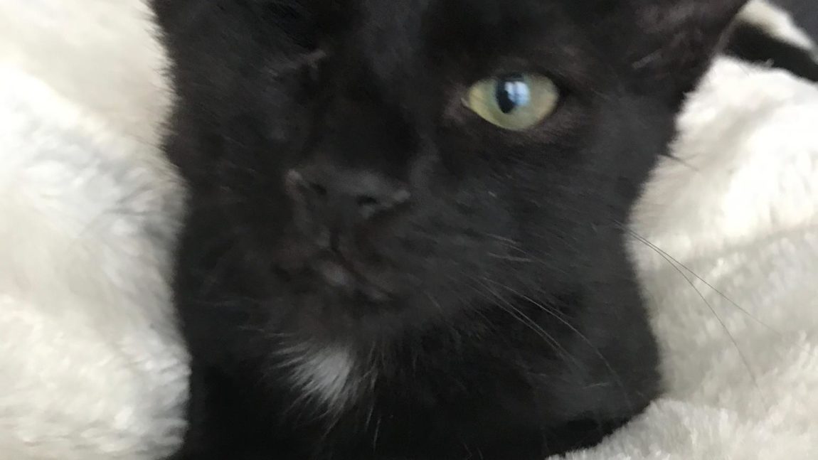 Onyx