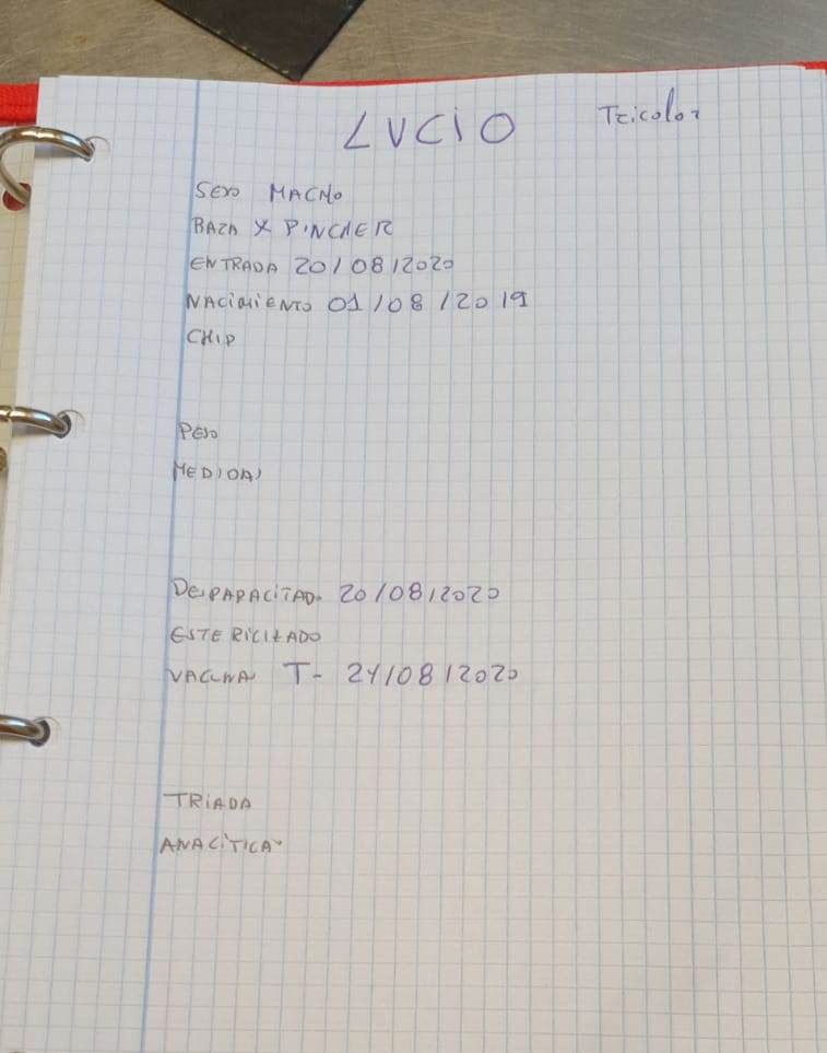 Lucio-ficha.jpg