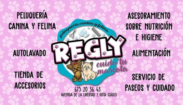 NUEVA INICIATIVA SOLIDARIA PARA QUE LA NAVIDAD LLEGUE AL REFUGIO