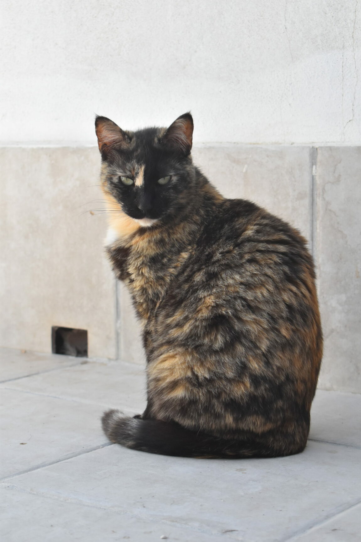 EJW_0285-scaled.jpg