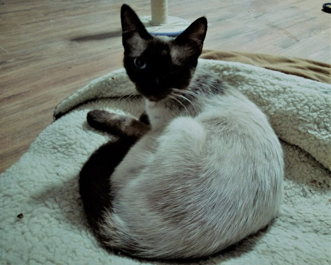 Momma-m.jpg