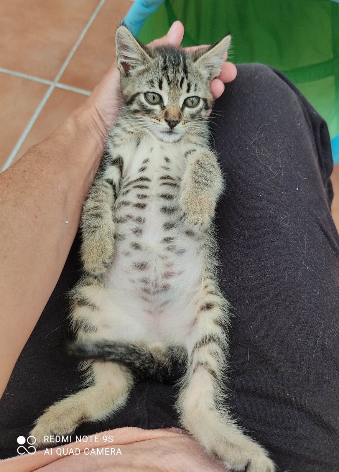 Paquito30.jpg