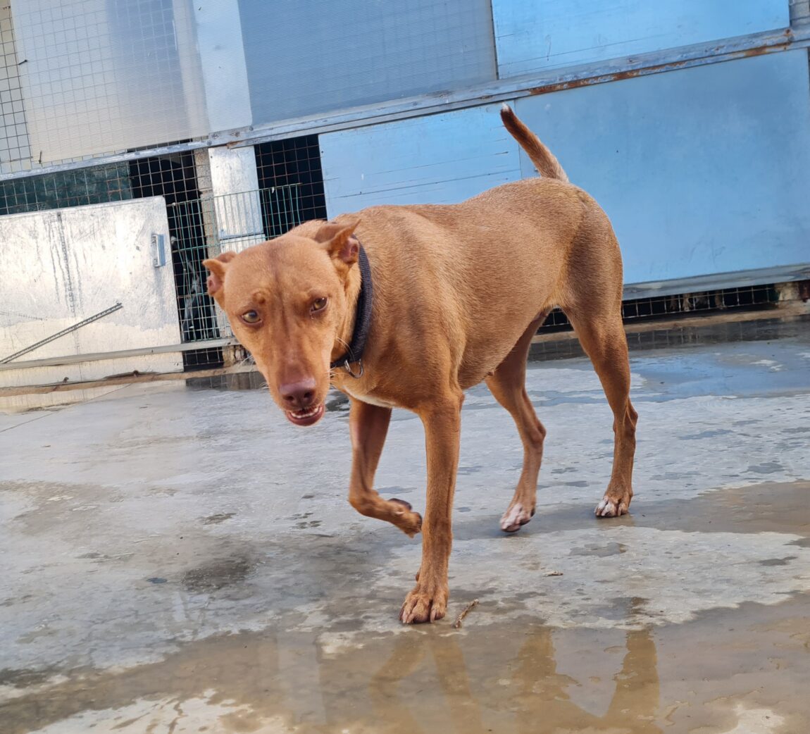 Bella12.jpg