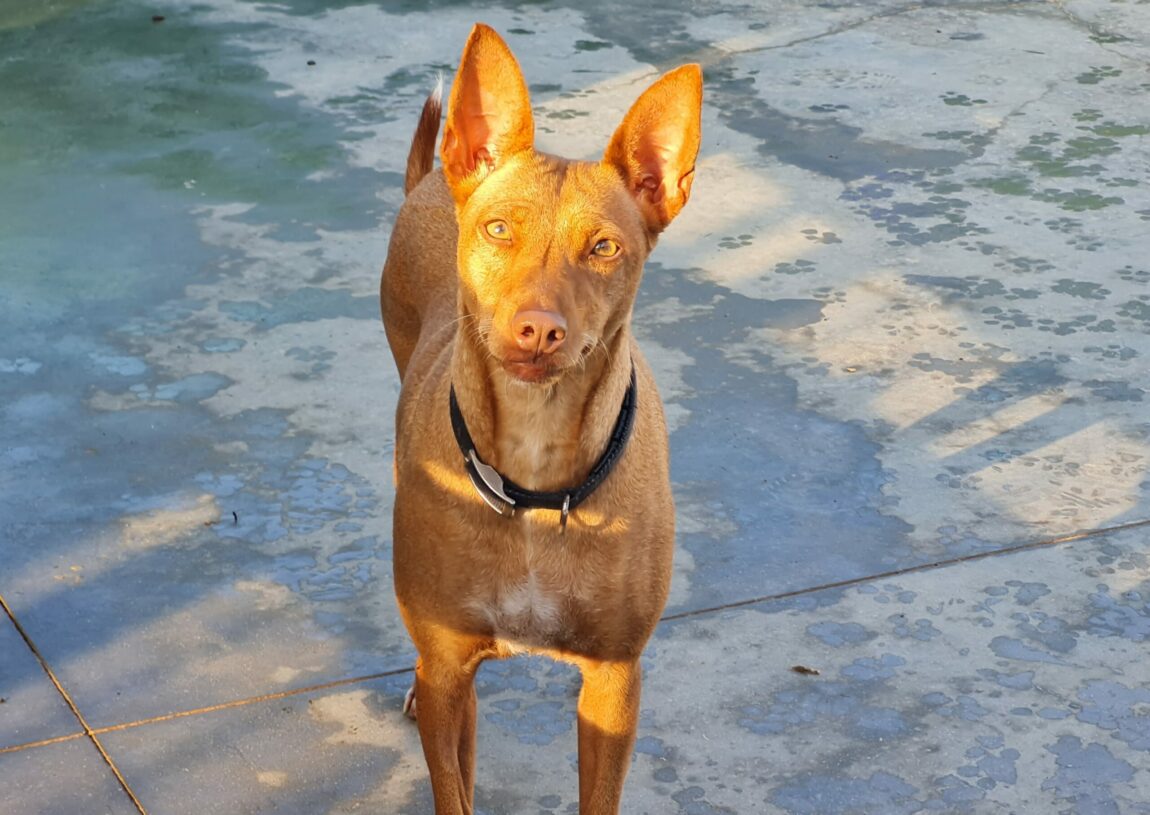 Bella21-scaled.jpg