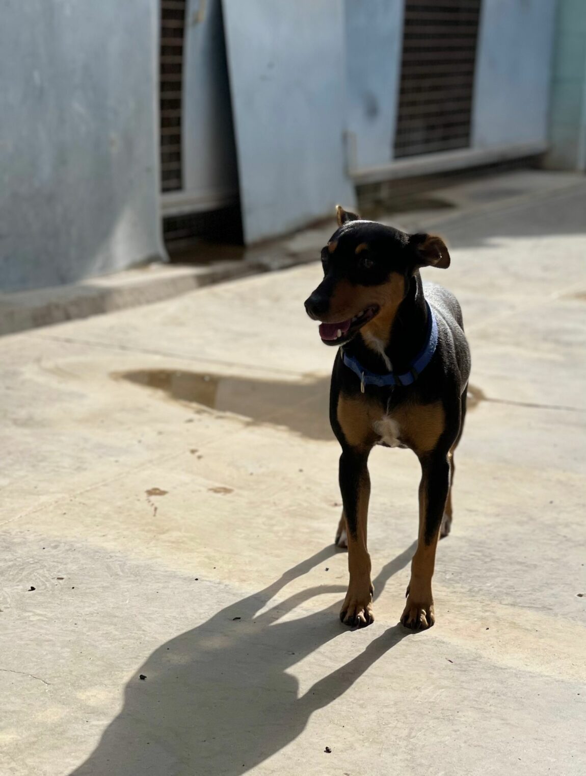 Guajira3-2.jpg