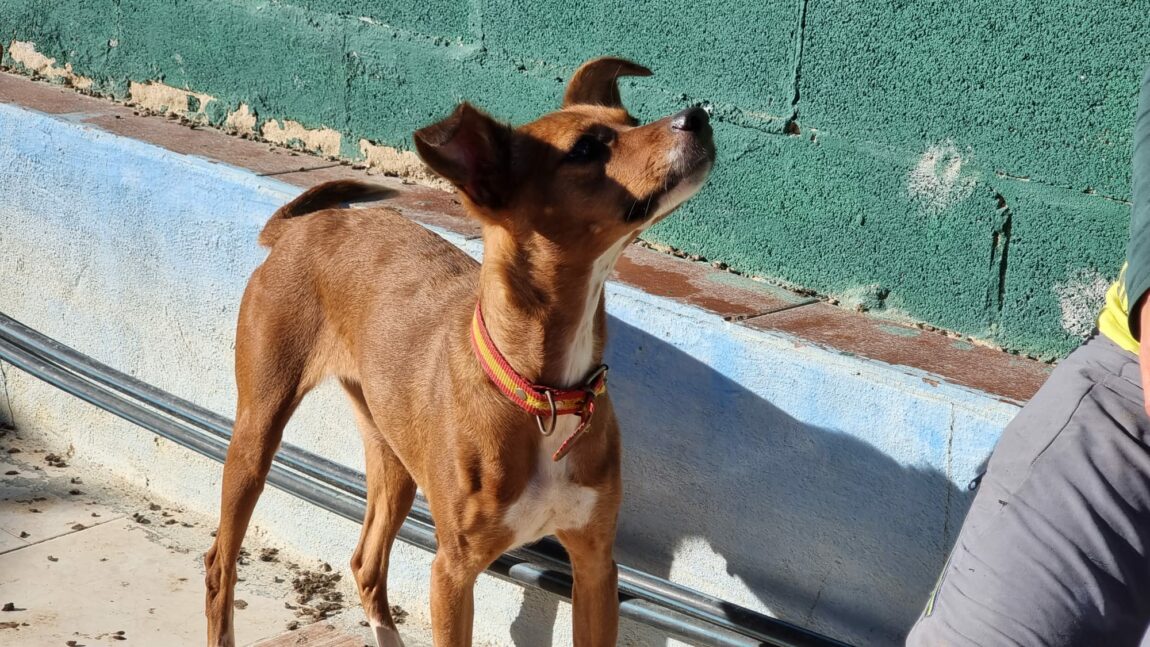 Nena11.jpg