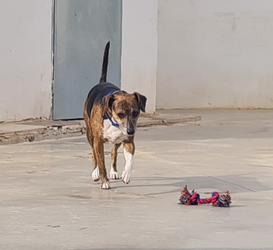 20220125_151654.jpg