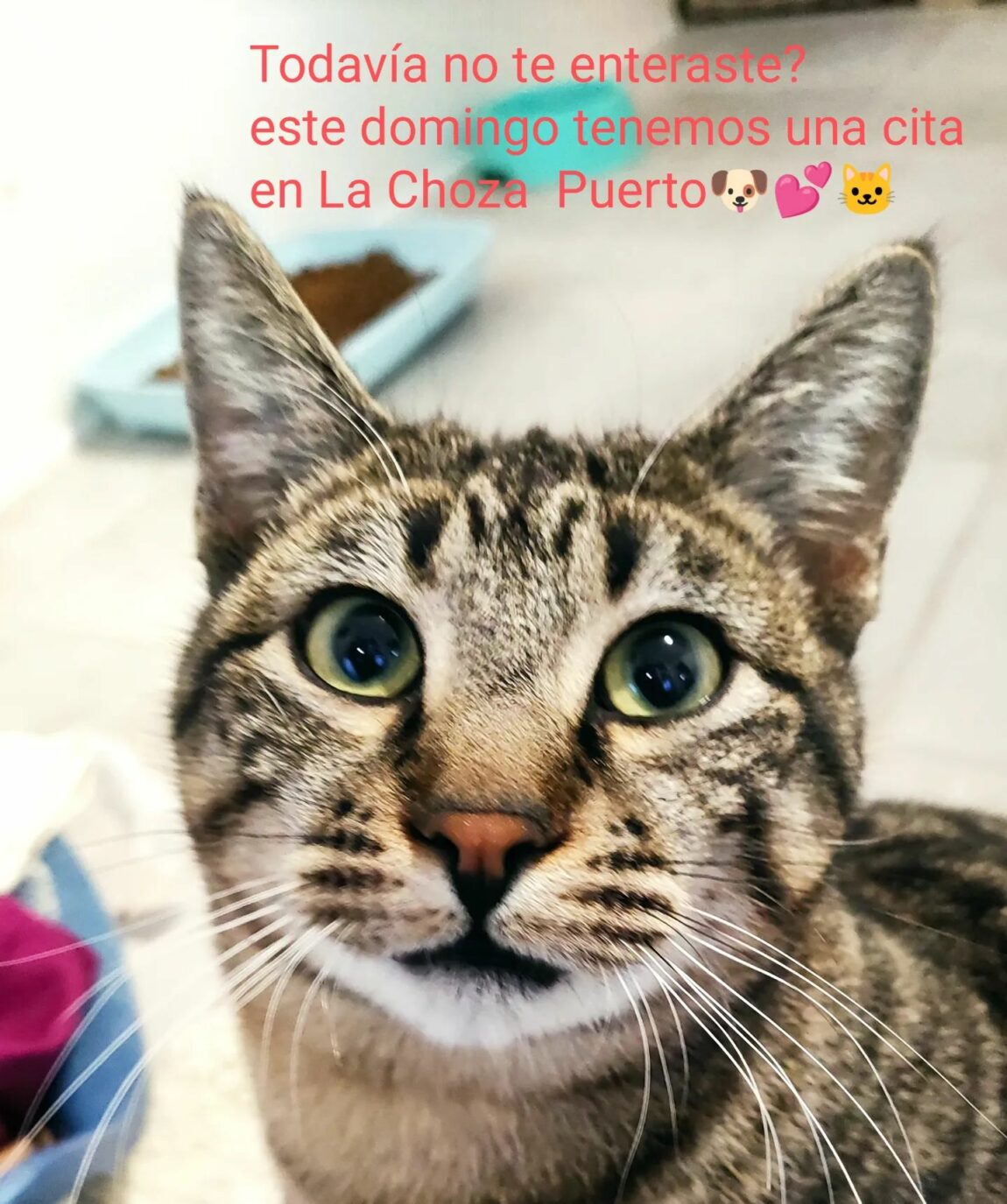 evento.jpg