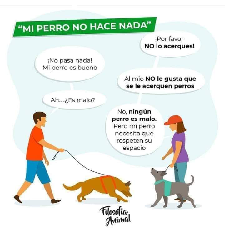 «NO PASA NADA…»