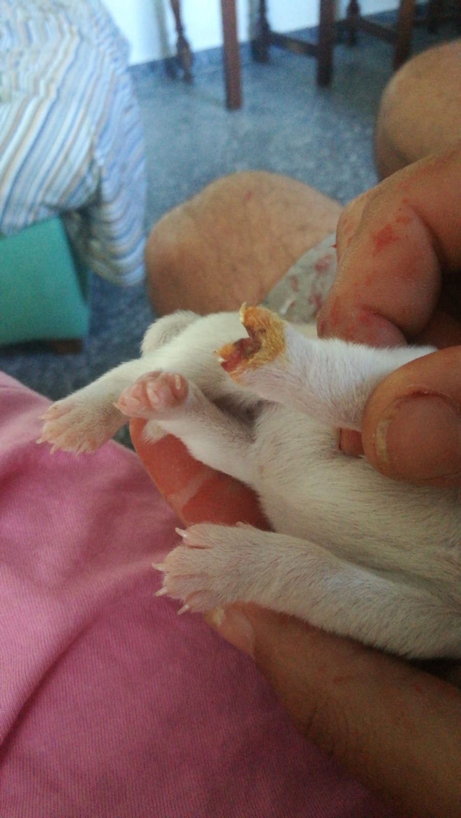 Dama-patita-bebe.jpg