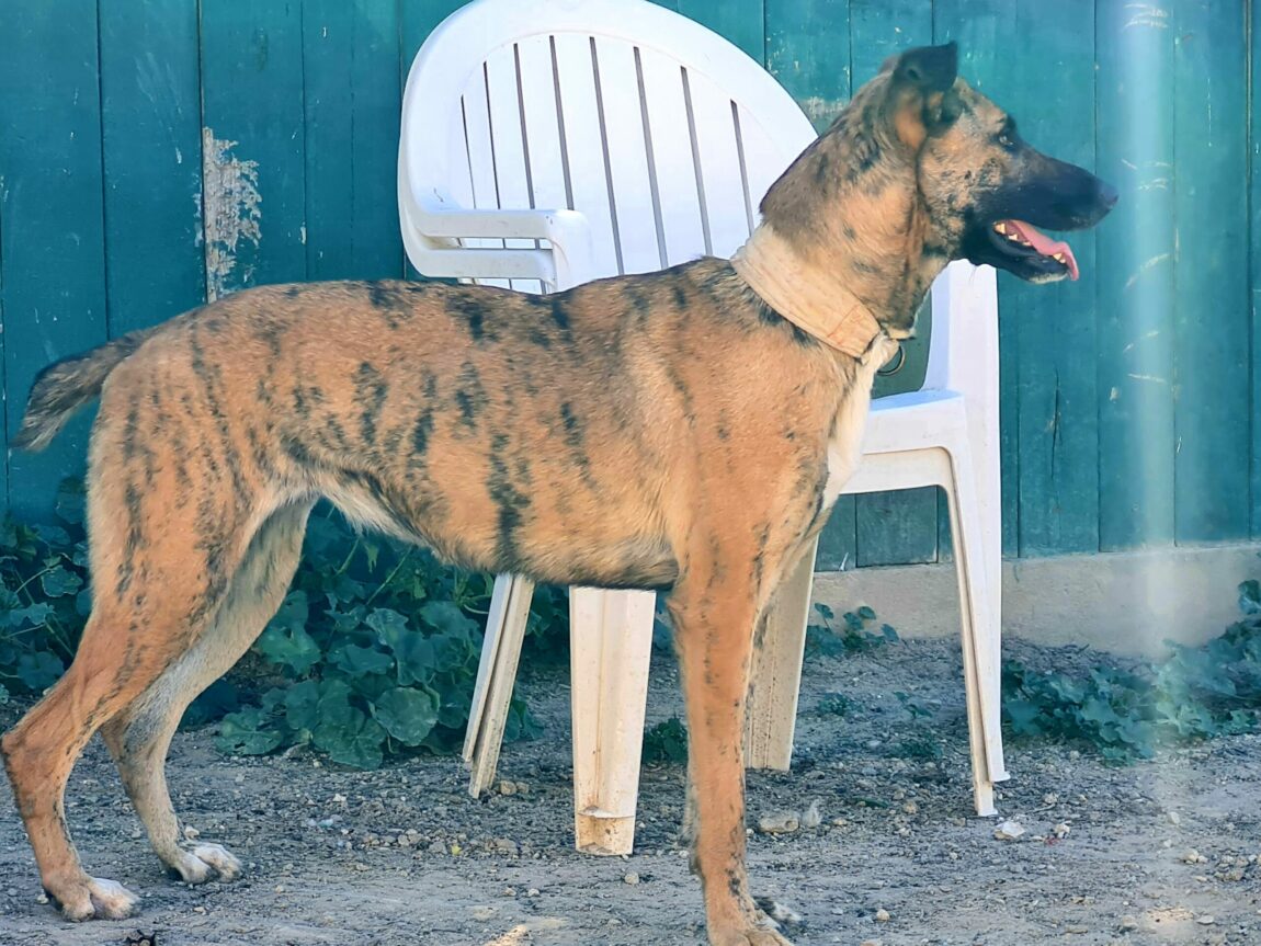 Heba-4-scaled.jpg
