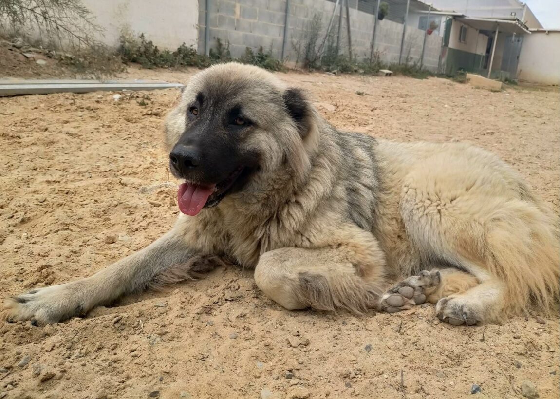 Masha.jpg