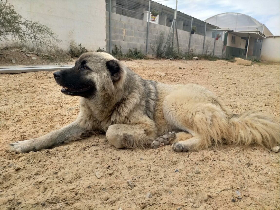 Masha1.jpg