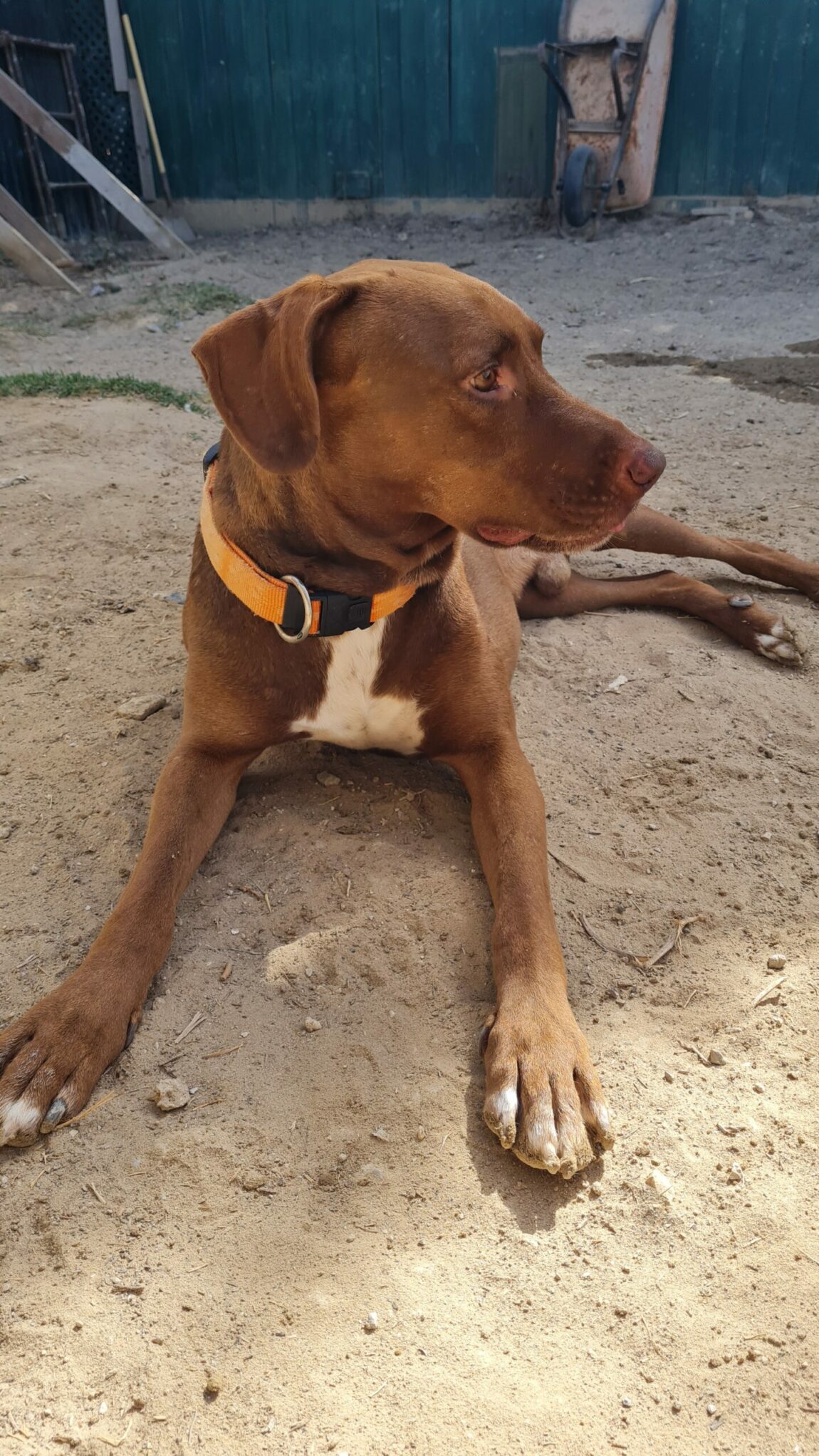 Rolo1-scaled.jpg
