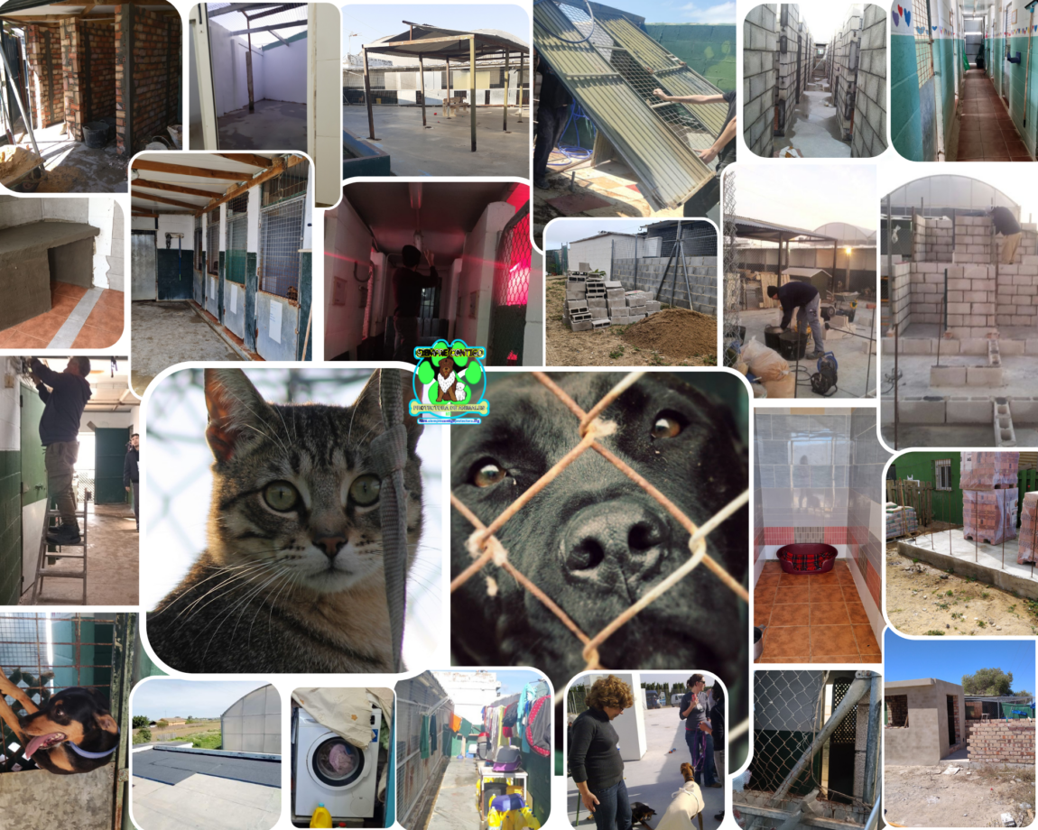 Moodboard-collage-foto-aesthetic-minimal-blanco-1.png
