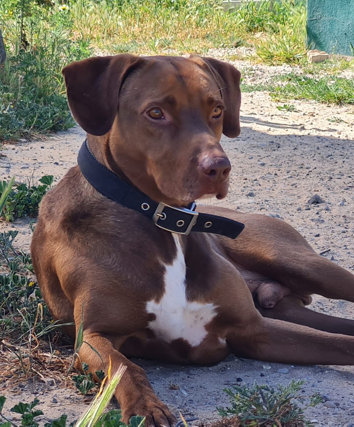 Rolo12-1.jpg