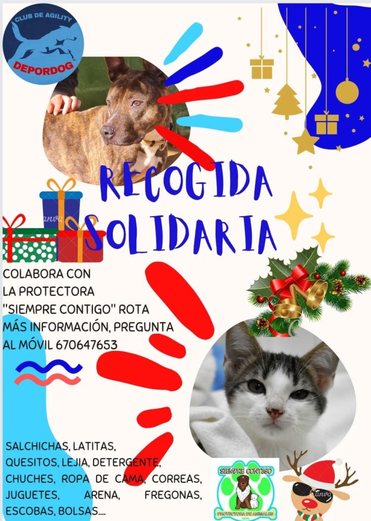 COLABORACIÓN DEL CLUB DE AGILITY DEPORDOG Y LA ASOCIACIÓN AMIGO MÍO