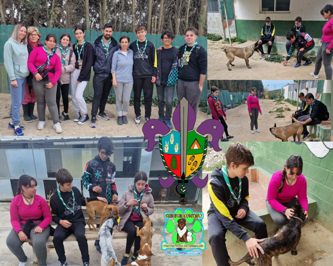 visita-SCOUT.jpg