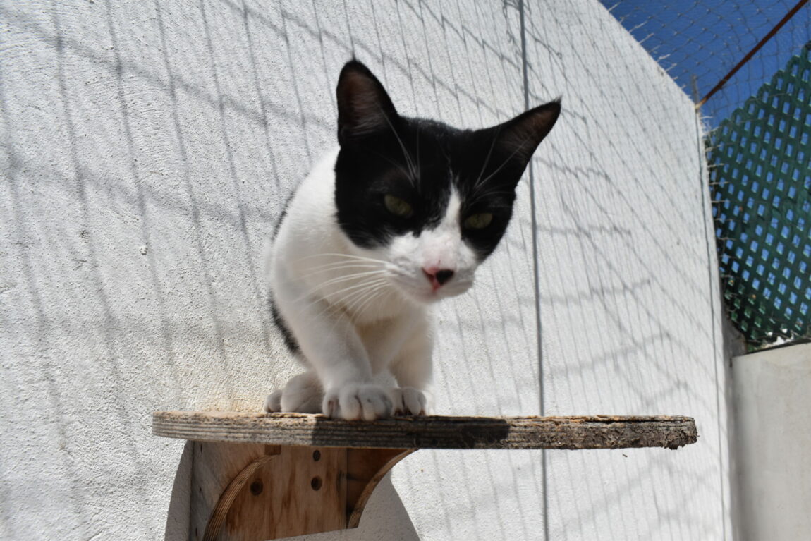 DSC_1306-scaled.jpg