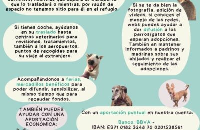 Diferentes formas de ayudar