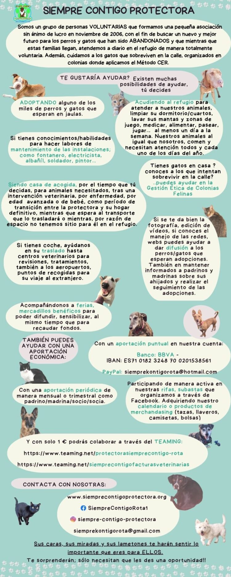 Diferentes formas de ayudar