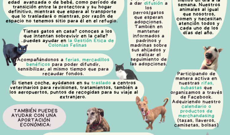 COMO AYUDAR