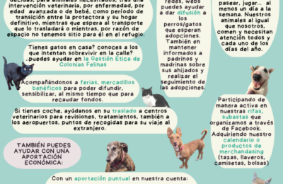 Diferentes formas de ayudar