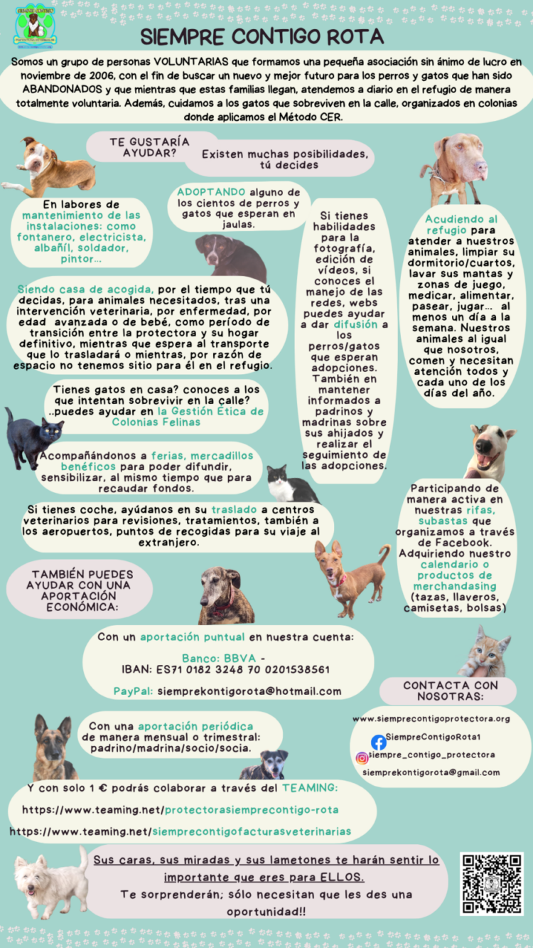 Diferentes formas de ayudar