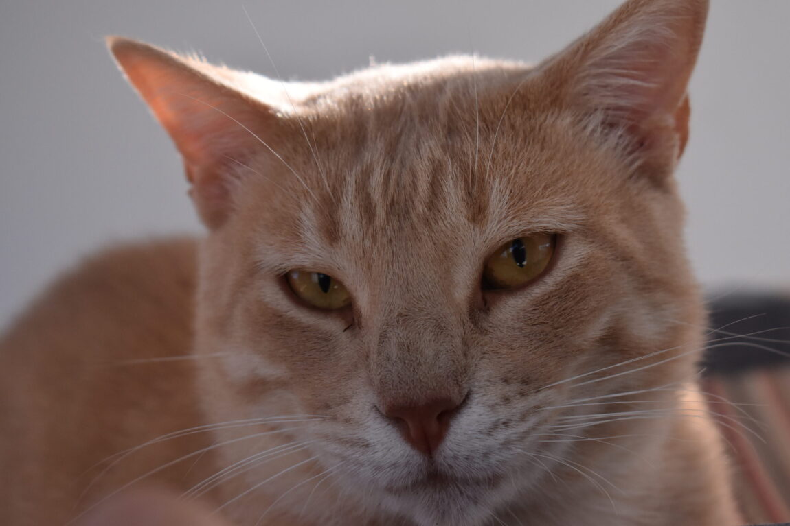 DSC_9563-scaled.jpg