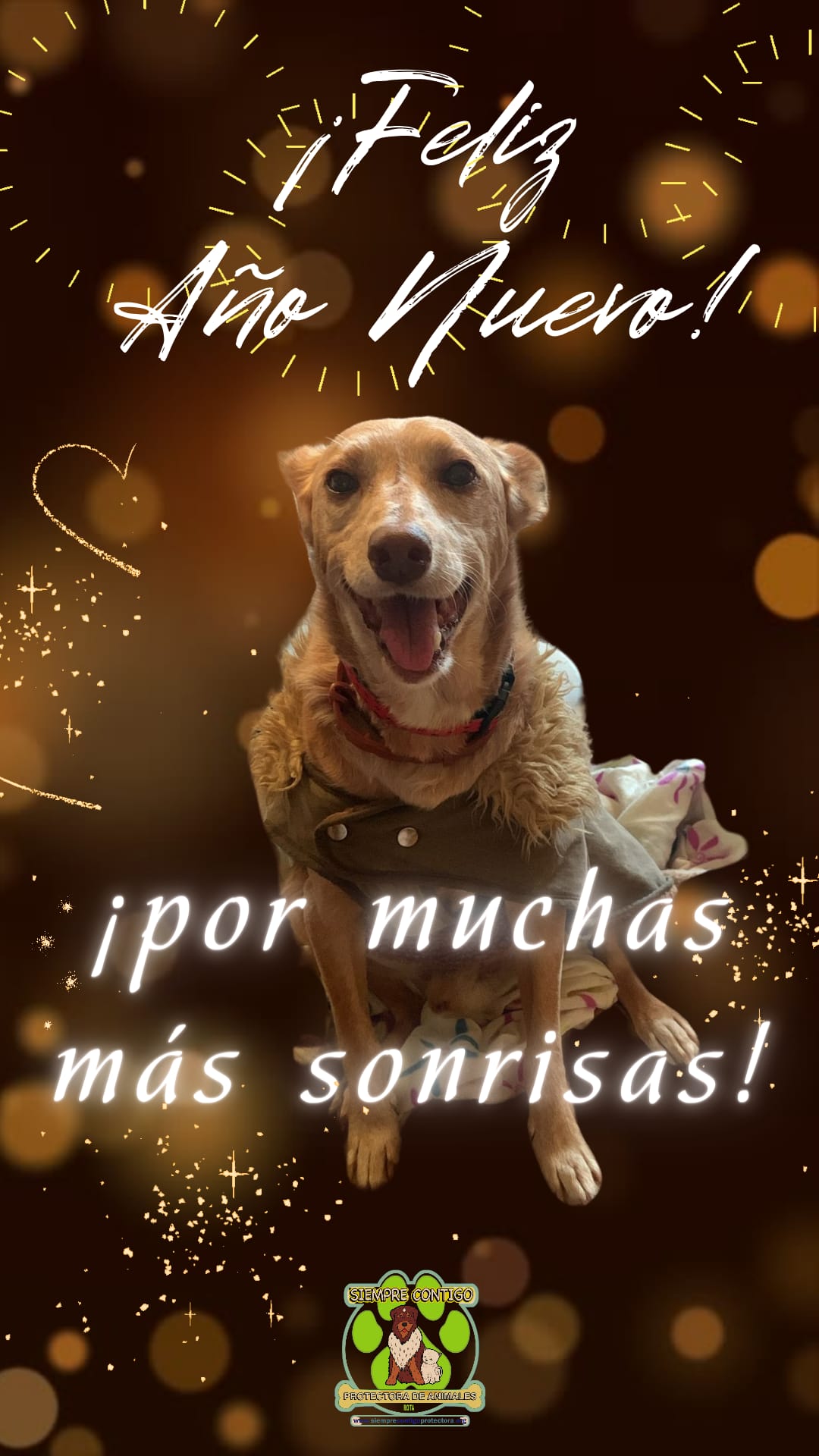 FELIZ-2024.jpeg