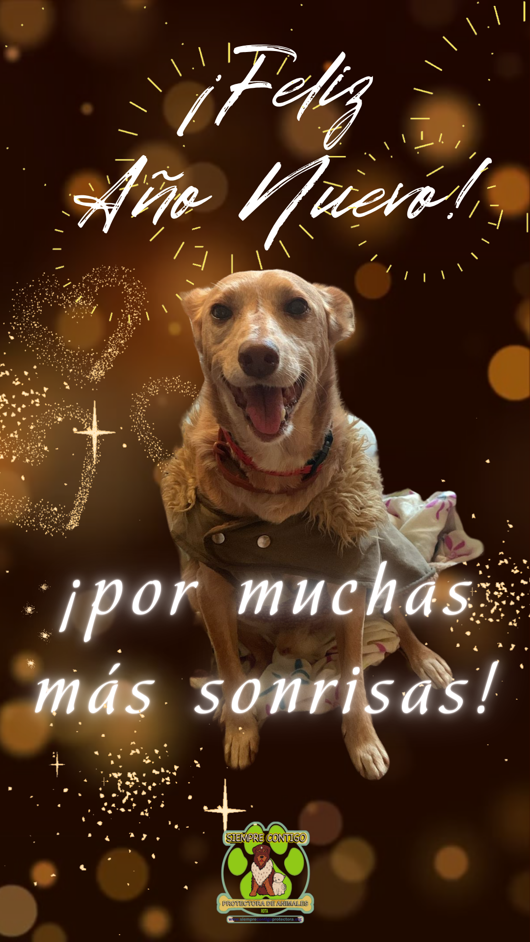 Feliz-Ano-Nuevo-Elegante-Dorado.png