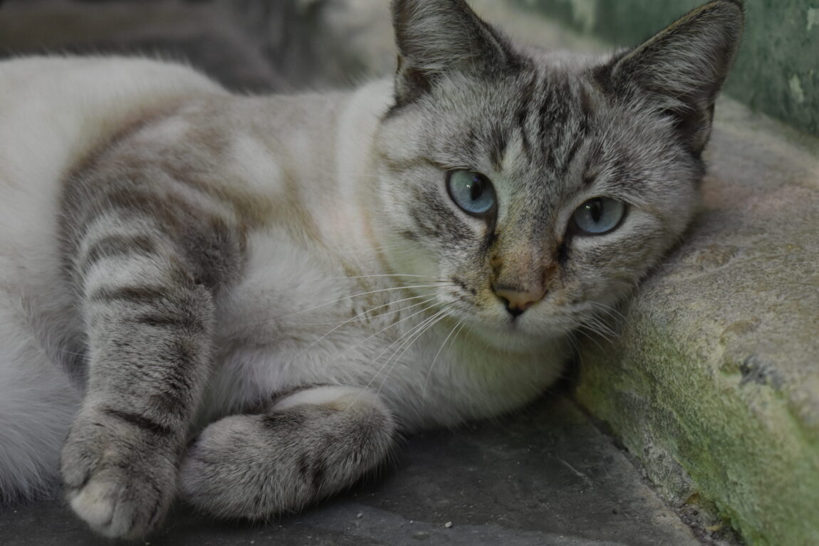 DSC_3112-scaled.jpg
