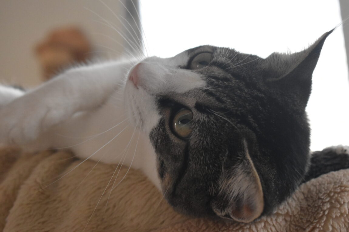 DSC_4637-scaled.jpg